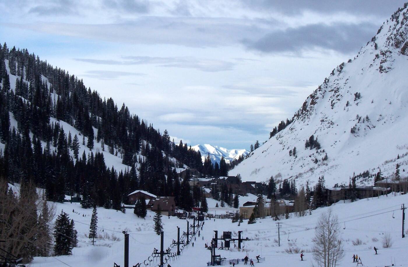 Mountain Collective