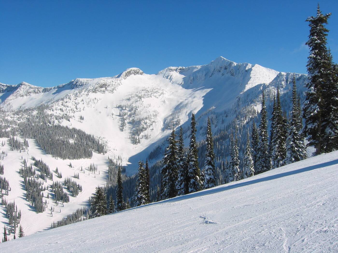 This BC Powder Highway Hill Just Pulled 190 Acres of Glades Inbounds